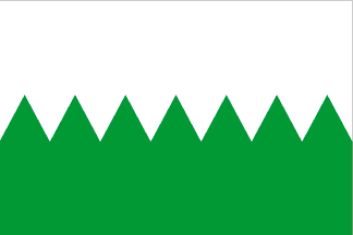 Bandera de Carrocera