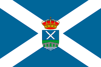 Bandera de Vega de Espinareda