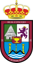 Escudo de Burón