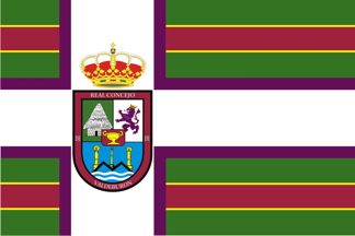 Bandera de Burón